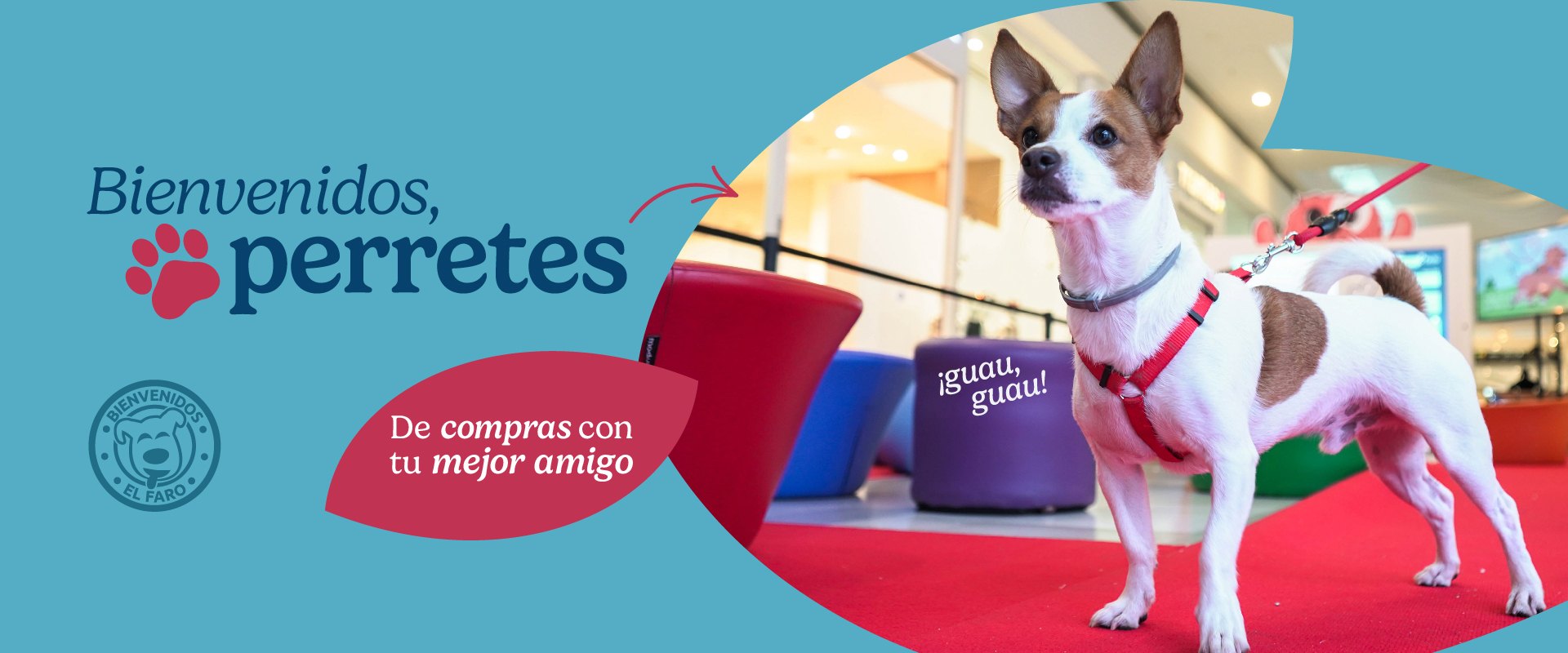 Bienvenidos, perretes