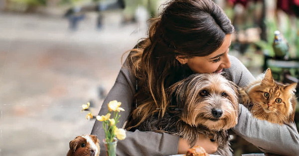 Nuevo catálogo de Kiwoko