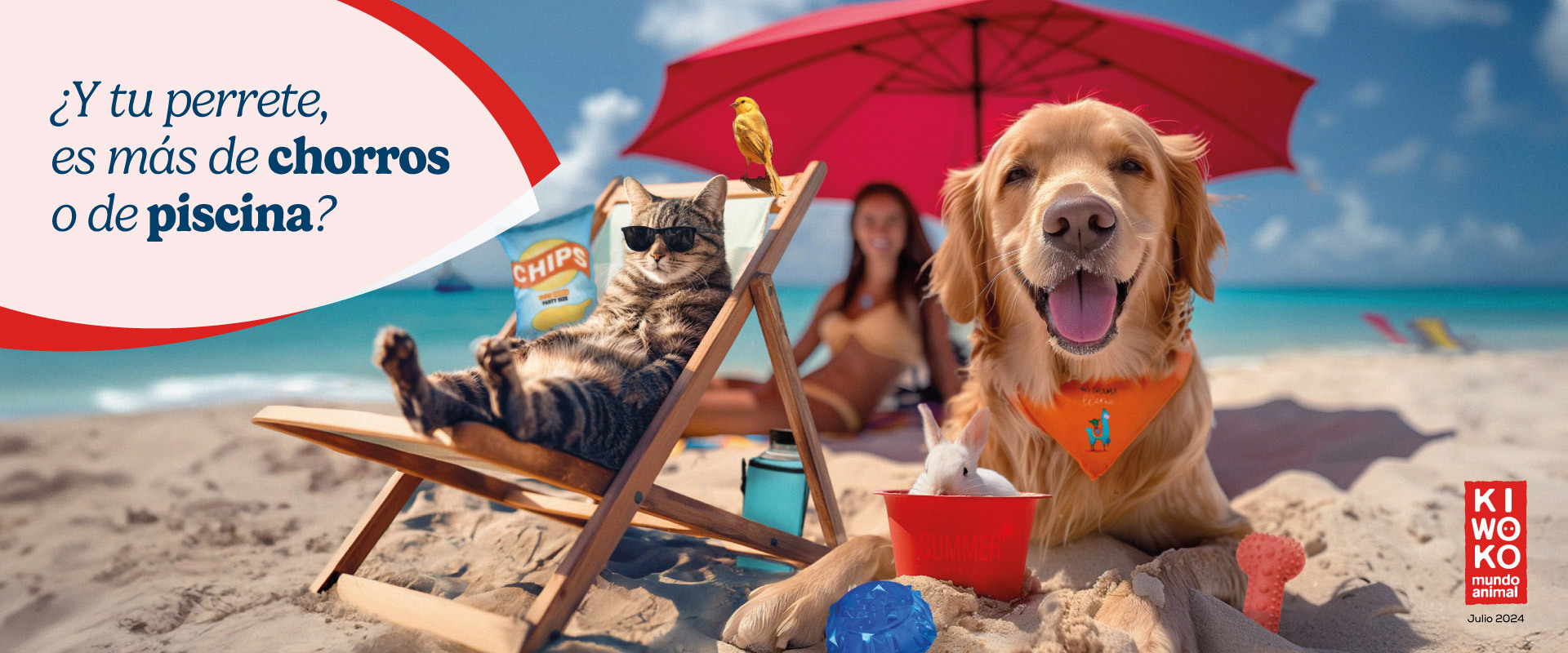 Y TU PERRETE, ¿ES MÁS DE CHORROS O DE PISCINA?