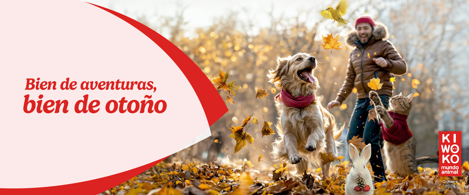 El otoño ha venido cargado de ofertas