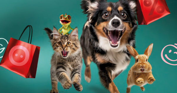 Las REBAJAS también son para tu mascota