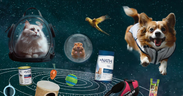 Descubre un universo infinito de descuentos para tu mascota.