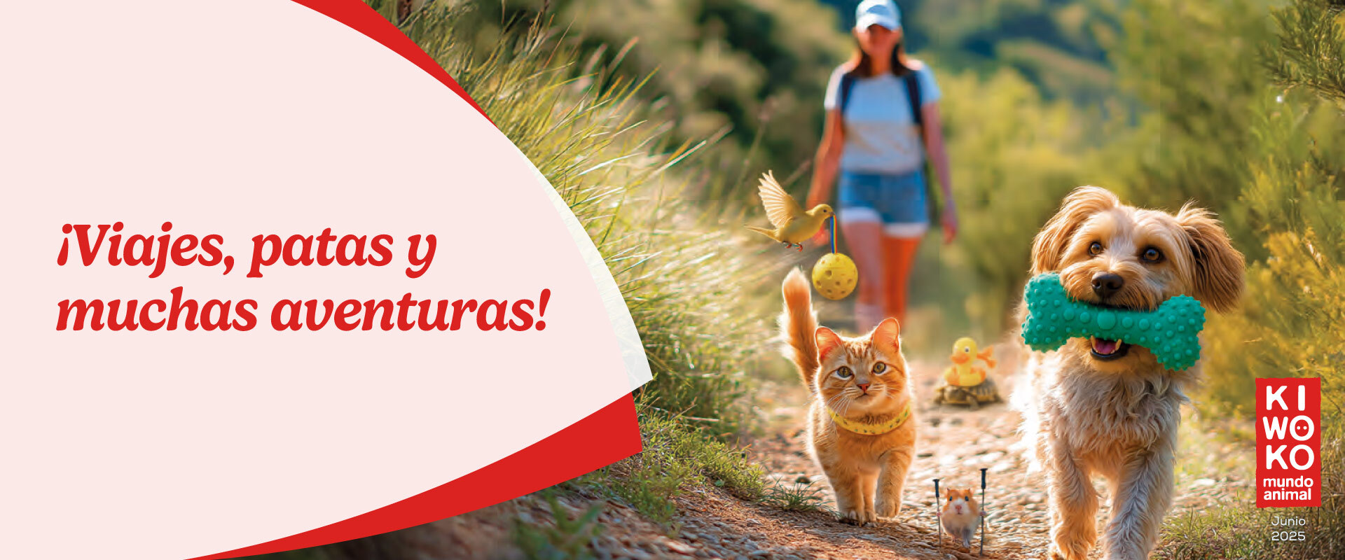 Este mes de Junio en Kiwoko TO-DO para tus escapadas.