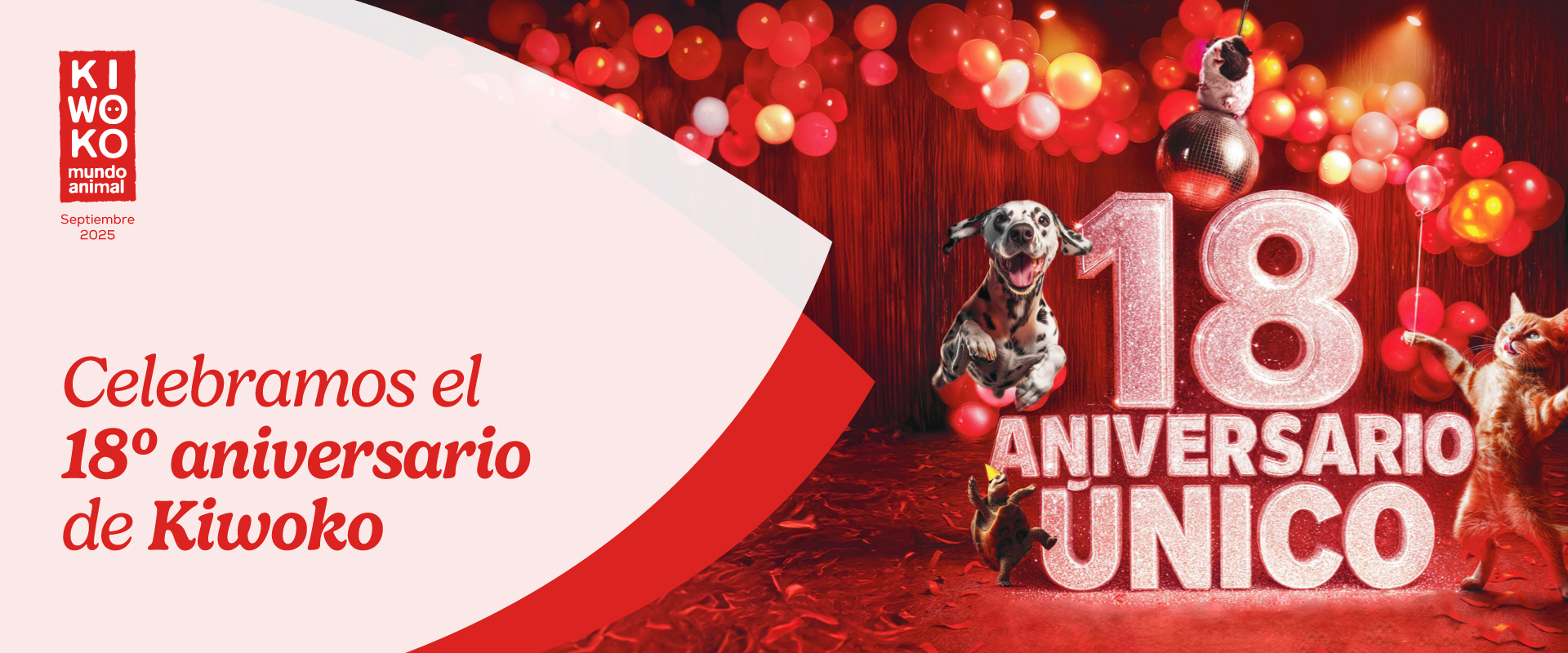 ¡Feliz aniversario, KIWOKO!