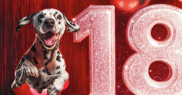 ¡Feliz aniversario, KIWOKO!