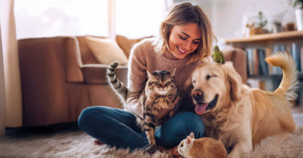 KIWOKO tiene TO-DO para hacer feliz a tu mascota