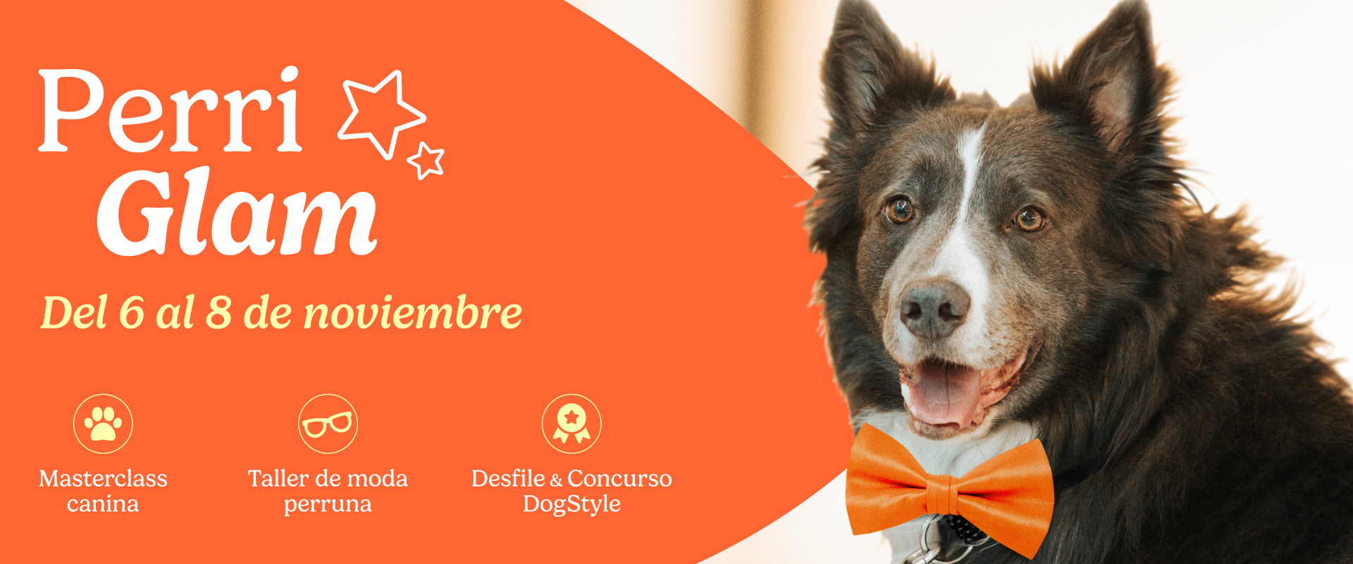 Un finde muy GUAU: tres días para disfrutar con tu perrete