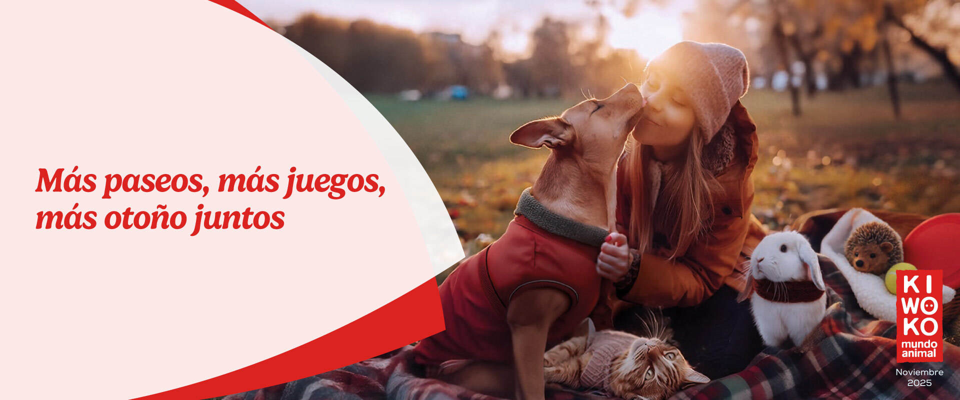 Kiwoko trae los mejores planes juntos