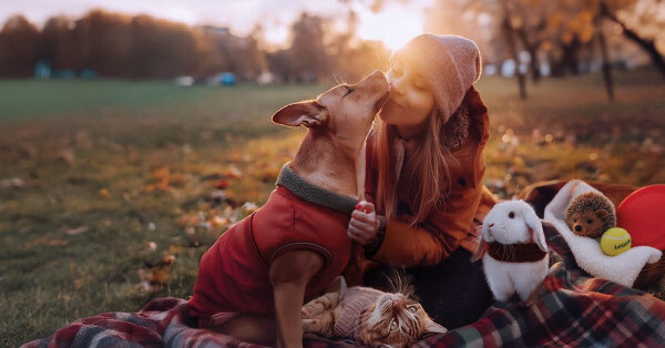 Kiwoko trae los mejores planes juntos
